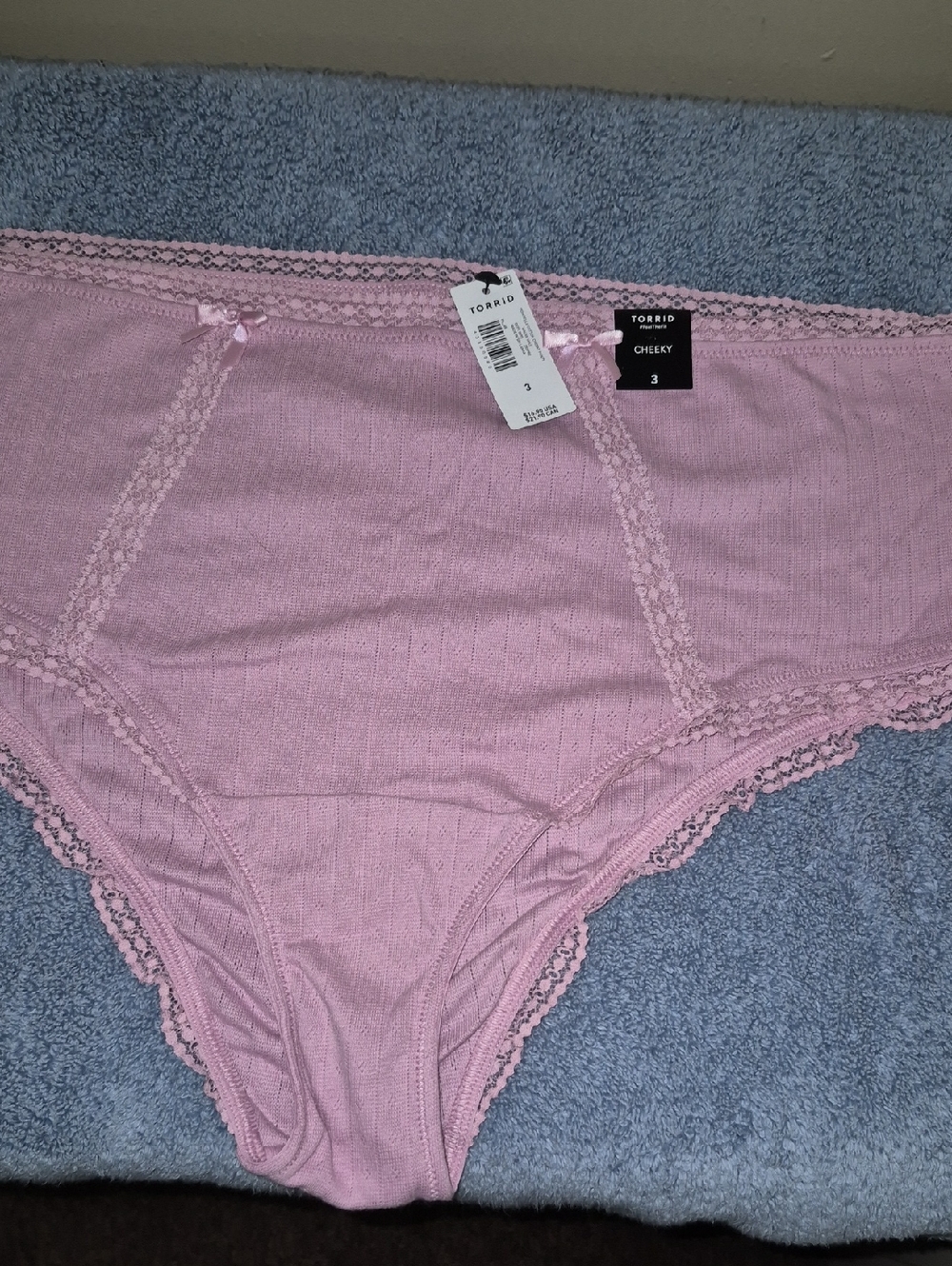 torrid Light Pink Lace Trim Cheeky Briefs